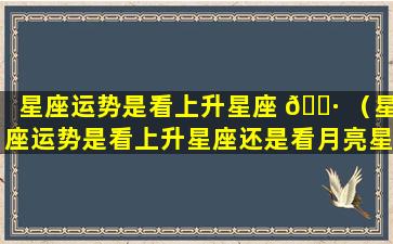 星座运势是看上升星座 🌷 （星座运势是看上升星座还是看月亮星座 🦟 ）